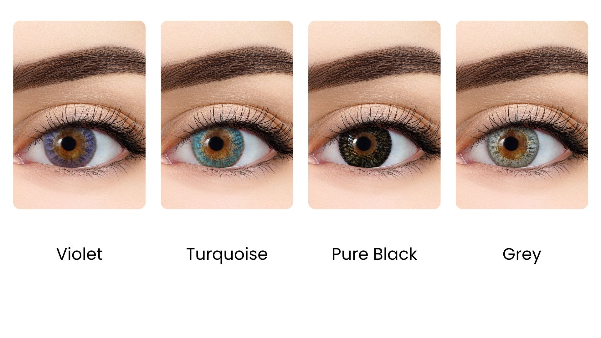 All Vue Colors Premium Plus